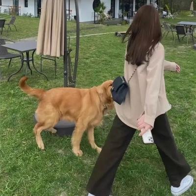 握手者